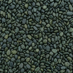 Serpentine